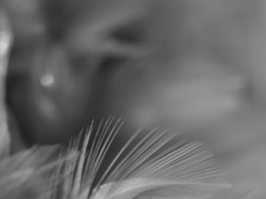 ゴールデンウィーク期間中の配送とカスタマーサービスについて｜2026GW